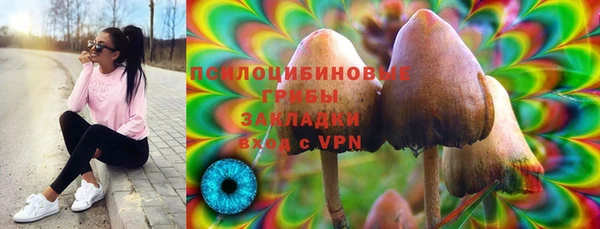кристаллы Белокуриха