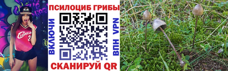 Галлюциногенные грибы MAGIC MUSHROOMS  Купить  Железногорск-Илимский 